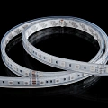 Лента светодиодная Byled PRO+ SMD5050, 60 LED/м, 14.4 Вт/м, 24В , IP20, Цвет: RGB