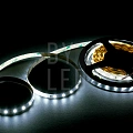 Лента светодиодная Byled PRO 2835, 80 LED/м, 7,2 Вт/м, 24В , IP20, Цвет: Холодный белый