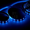 Лента светодиодная Byled PRO 5050, 60 LED/м, 14.4 Вт/м, 24В , IP20, Цвет: RGB