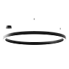Подвесной светильник Byled серия Halo 4555 (110W, 220V, CRI>90, 1200mm, Черный корпус, Цвет: Нейтральный белый)