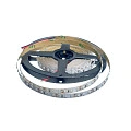  Светодиодная лента Byled Standart SMD2835, 120 LED/m, 9,6 W/m, 12V , IP20, Цвет: Синий