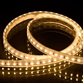 Лента светодиодная Byled Standart 2835, 120 LED/м, 9,6 Вт/м, 24V , IP66, Цвет: Теплый белый