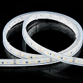 Лента светодиодная Byled Standart 2835, 120 LED/м, 9,6 Вт/м, 24V , IP66, Цвет: Нейтральный белый