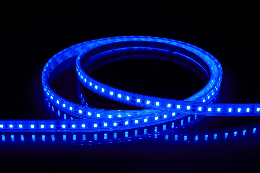 Лента светодиодная Byled Standart 2835, 120 LED/м, 9,6 Вт/м, 24V , IP66, Цвет: Синий