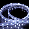 Лента светодиодная Byled PRO+ SMD5050, 60 LED/м, 14.4 Вт/м, 24В , IP66, Цвет: RGB