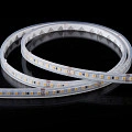Лента светодиодная Byled PRO+ SMD2835, 128 LED/м, 11,5 Вт/м, 24В , IP20, Цвет: Нейтральный белый