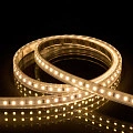 Лента светодиодная Byled PRO+ SMD2835, 128 LED/м, 11,5 Вт/м, 24В , IP66, Цвет: Теплый белый 3000K